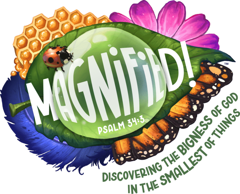 Magnified VBS 2025 logo for Kennesaw First Church – June 2–6 event for Pre-K through 5th grade